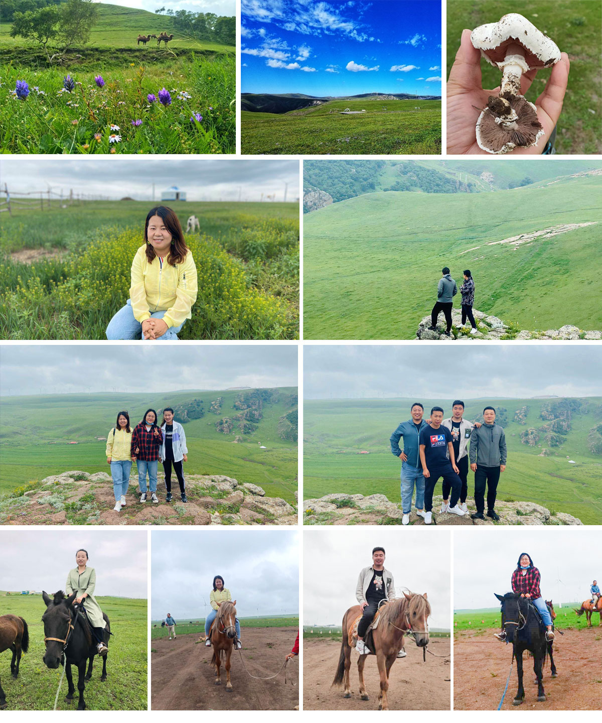 未標題-2.jpg 未標題-2.jpg